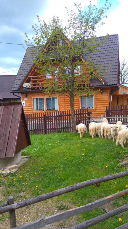 Pokoje U Sarnowskich Kościelisko Exterior foto